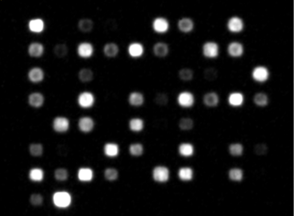 image of competitor slide imagers