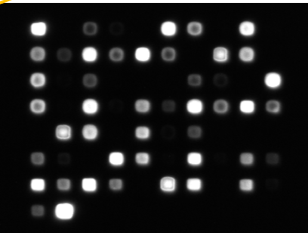 The SeroSight slide imager